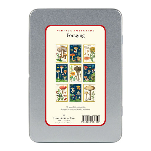 POSTCARDS FORAGING MUSHROOMS